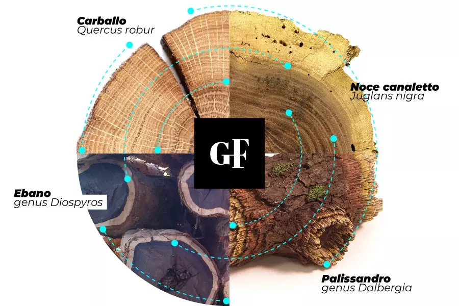 I legni pregiati della nostra LESMO WOOD